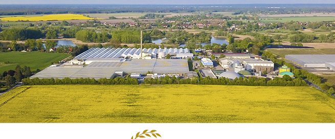 Luftaufnahme einer landwirtschaftlichen Anlage mit Gewächshäusern vor einem Dorf und Feldern im Hintergrund sowie dem Text '35 Jahre Schwanteland 35 Jahre - Vielfalt, Qualität & Wachstum. 1. März 1991'